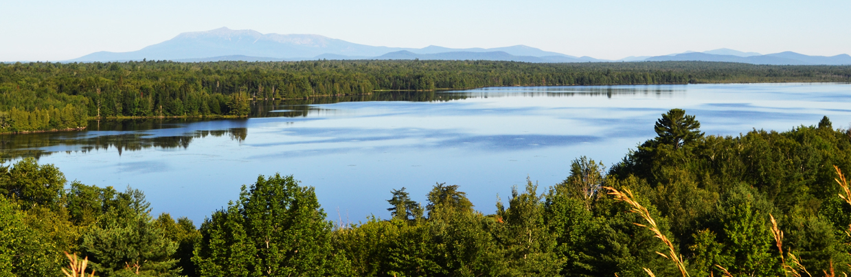Lakes and trees with Mount Katahdin far in the background