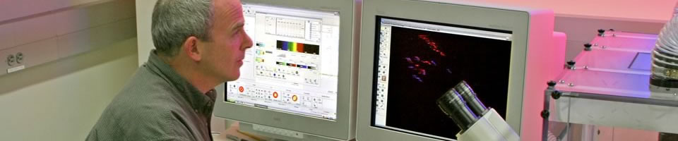 A middle-aged man working at a computer station